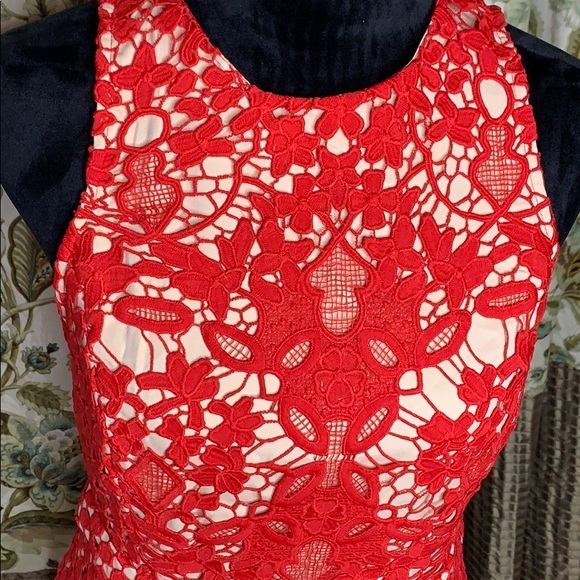 ENDLESS ROSE floral lace overlay dress - Picture 4 of 6